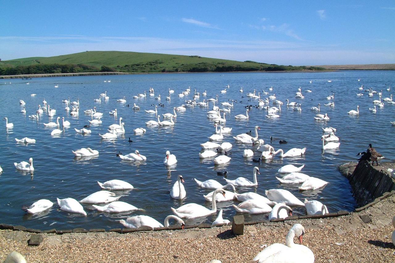 Abbotsbury Tea Rooms Esterno foto
